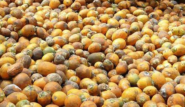 Lanka to support India’s efforts to curb areca imports