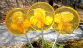 Edible flowers preserved in unique lollipops