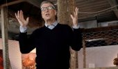 Bill Gates&#039; chicken plan to help Africa