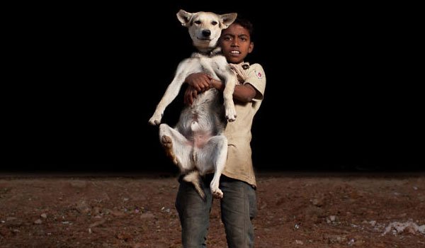 10 orphan boys and their adopted dogs