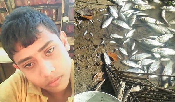 Boy who rescued fish ends up in watery grave