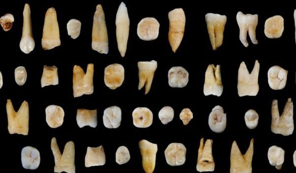 Fossil teeth place humans in Asia &#039;20000 years early&#039;