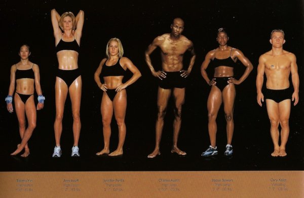 Vastly different body types of Olympic athletes