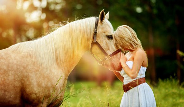 Horses recognise human emotions