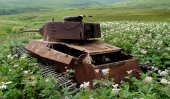 WW tanks swallowed by nature