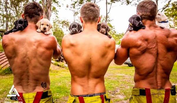 Firefighters pose with rescue puppies