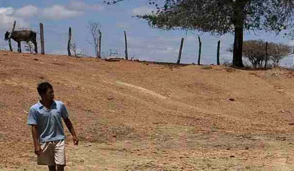 19,000 Mahaweli farmer families hit by dry weather