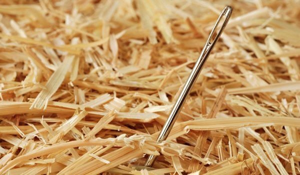 Artist Sven Sachsalber looks for needle in haystack