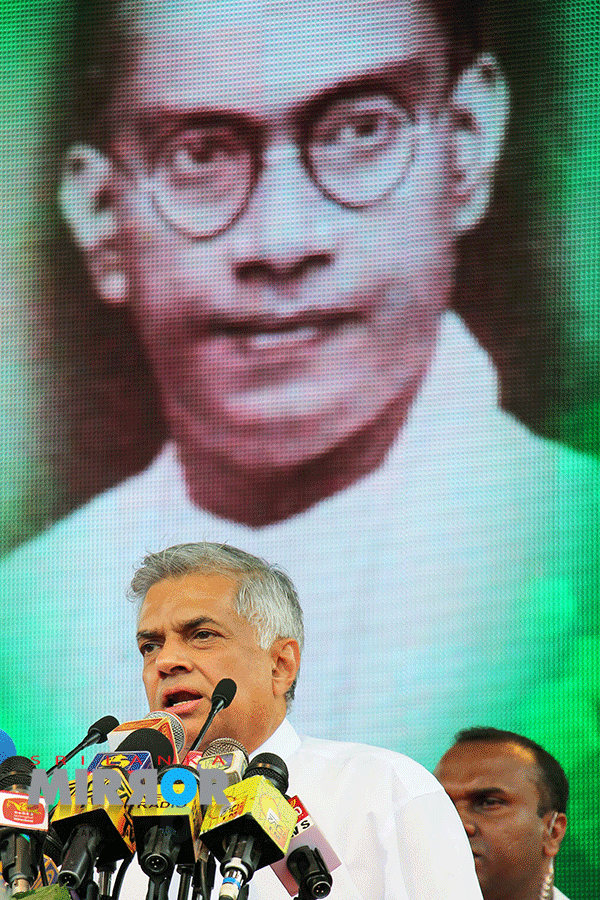 unp6