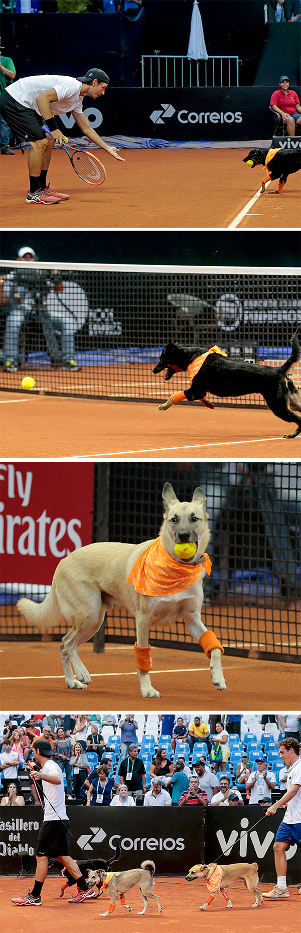 BallBoy1 600px 16 03 04