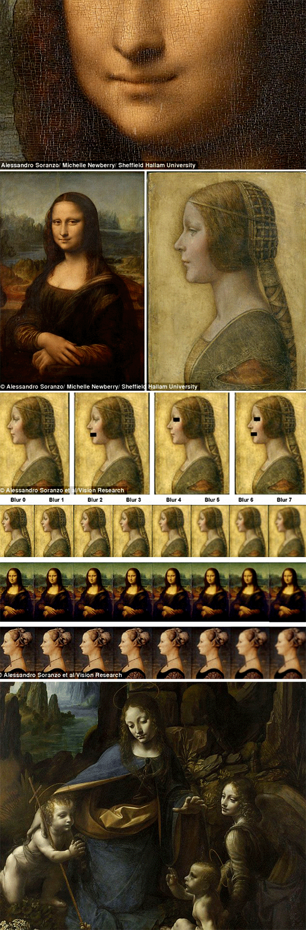 Mystery of the Mona Lisa's smile solved using Leonardo da Vinci's La Bella  Principessa