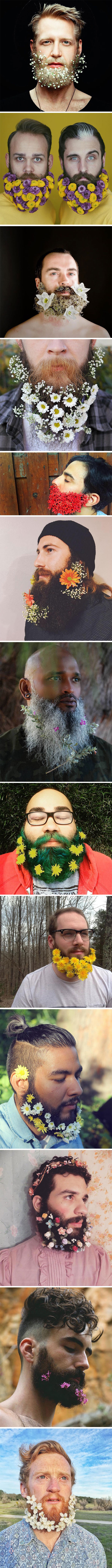 FlowerB1 600px 16 03 18