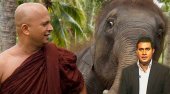 Uduwe Thera trapped, says his lawyer