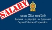 Fisheries Corp. leases Russian company-owned land to pay salaries