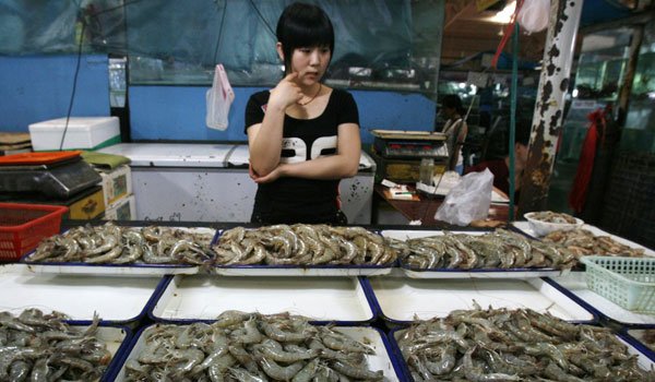 How shrimp farming wreaked havoc on Sri Lanka’s coasts