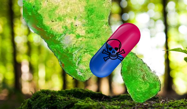 Human excrement fertilizer from India?