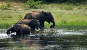 Can the man-jumbo clash be resolved?