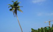 Sri Lanka needs smarter workforce to keep tourist dollars in country