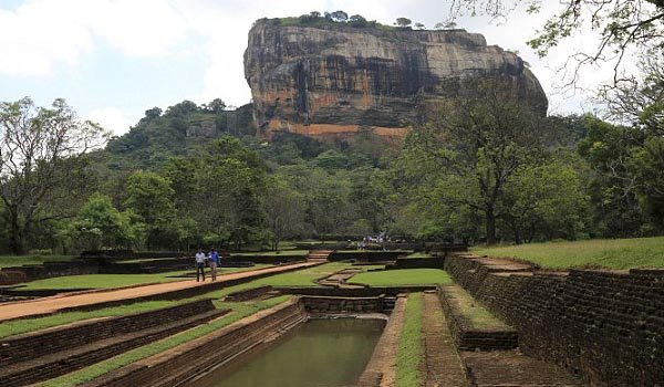 Australian tourist describes the horrifying Wasp attack in Sri Lanka
