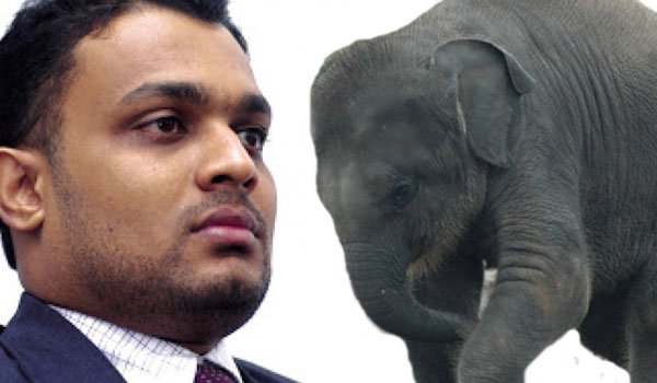 AG to challenge bail given to Thilina Gamage