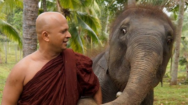 Uduwe Thera files petition against arrest