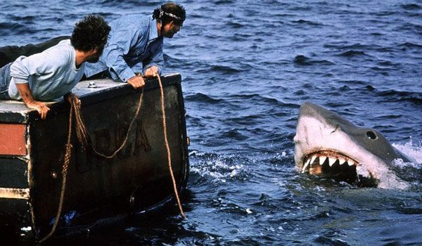 How Jaws misrepresented the great white