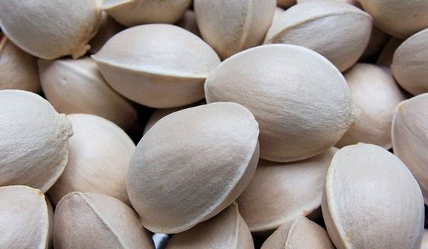 Japanese cities riled by smelly nuts