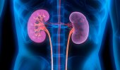 Nalgonda police petition Sri Lanka for info on kidney transplantations