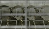 Sri Lankan national with suspected links to LTTE detained at Pune airport