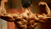 Bodybuilders to participate in world championship without officials