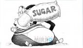 Not so sweet? : Special circular on sugar use