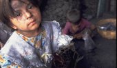 Child labour complaints to hotline 1929