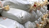 Kidney disease causing CIC fertilizer consignment seized