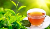 Sri Lanka’s tea exports continue decline
