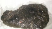 uspected 10 kg &#039;ambergris&#039; sent to Sri Lanka for tests
