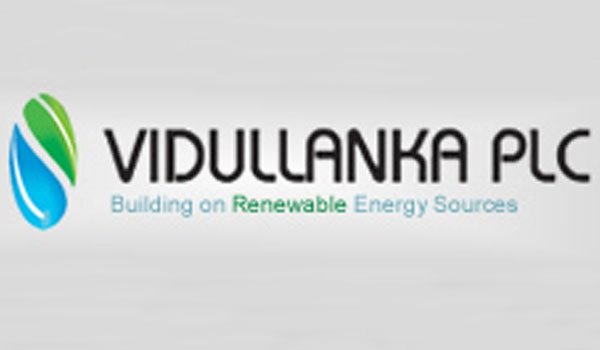 Sri Lanka&#039;s Vidullanka ups stake in Panasian Power
