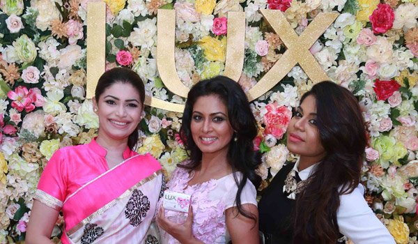 Lux launches Lux Star Collection