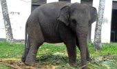 High court sets aside Pilapitiya’s order