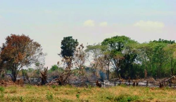 &#039;36,611 hectares of land taken over by force&#039;