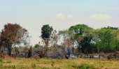 &#039;36,611 hectares of land taken over by force&#039;