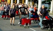 SL tourist arrivals up by 24.3% in January