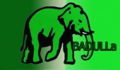 UNP bags all seats in Badulla