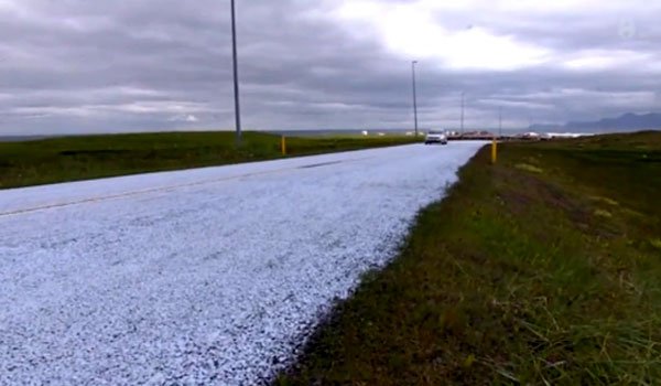 Bright roads in Iceland to conserve birds