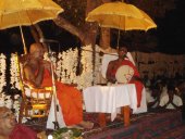 Offering of 1 million Araliya flowers
