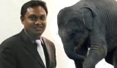 Elephant Saga : Police pressured by ministerial secretary