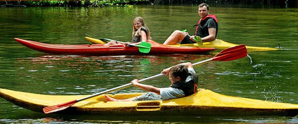Sri Lanka Tourism must focus on Asian Tourism as arrivals reach 45%
