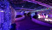 Canberra Christmas lights set world record