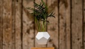 Magnetized planters allow garden to levitate (video)