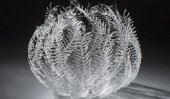 Delicate glass sea life sculptures by Emily Williams