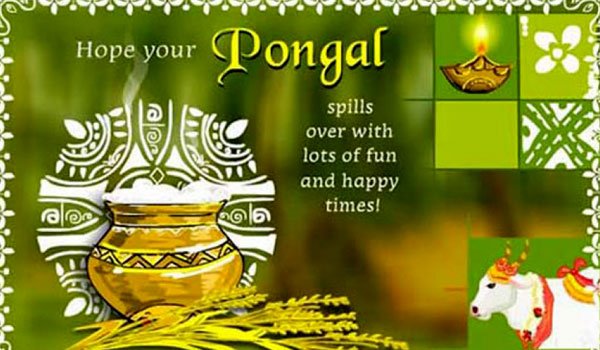 Thai Pongal - The Festival of the Tamils